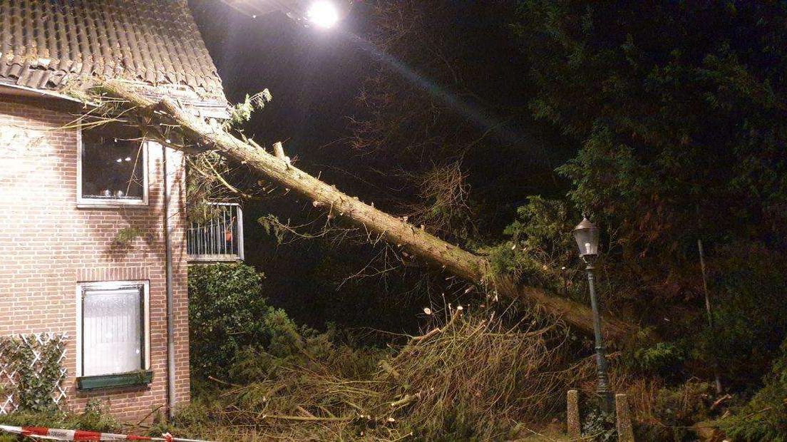 Op de Dennenoord in Groesbeek belandde een grote boom tegen een huis.