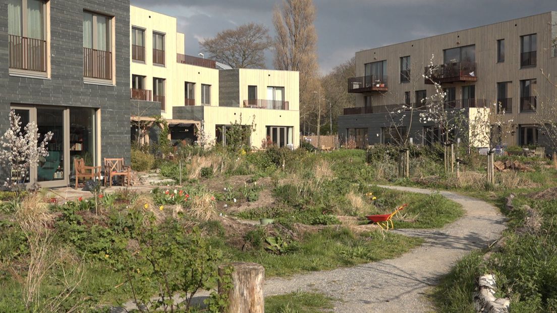 De ecologische wijk Groene Mient in Den Haag