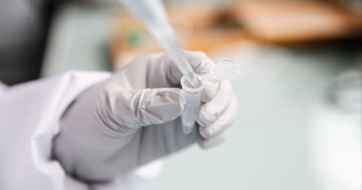 Katwijk’s Illness Research: Milestone Achieved