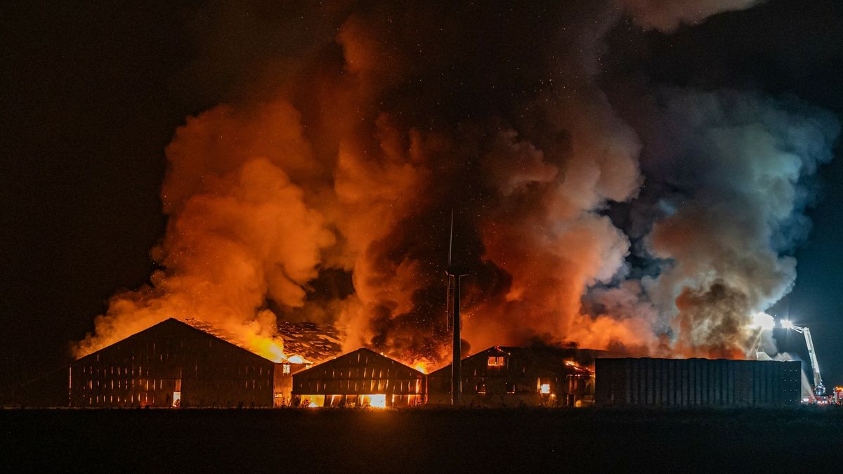 Zeer grote brand in loodsen in Ternaard