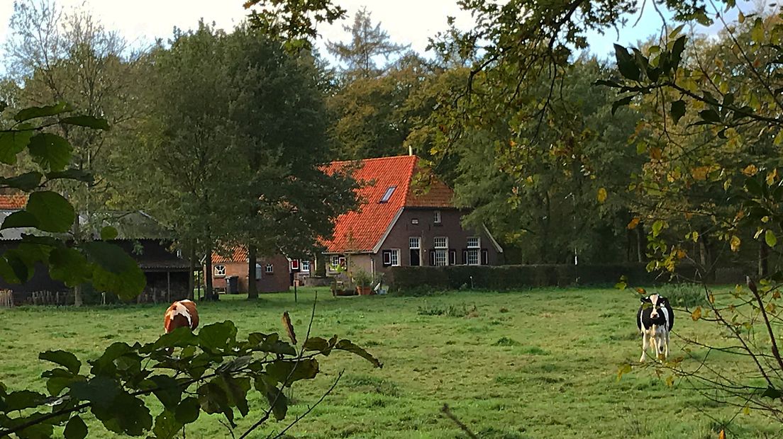 De schoonheid van de Achterhoek wordt vaak vooral vanaf de fiets bewonderd. Maar wie bereid is om die fiets een aantal uren te laten staan en een paar laarzen aan te trekken, stuit bij Ruurlo al snel op een aantal van de allermooiste plekjes die de Achterhoek rijk is. 'Zelfs door de inwoners van Ruurlo zelf zijn deze plekken nog nauwelijks ontdekt', zegt boswachter Dirk van den Brink van Staatsbosbeheer.