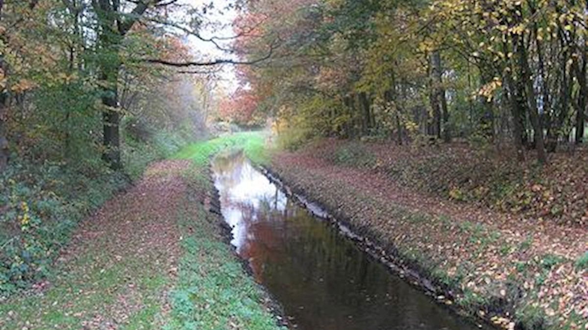 Hengelo wil de Elsbeek terug
