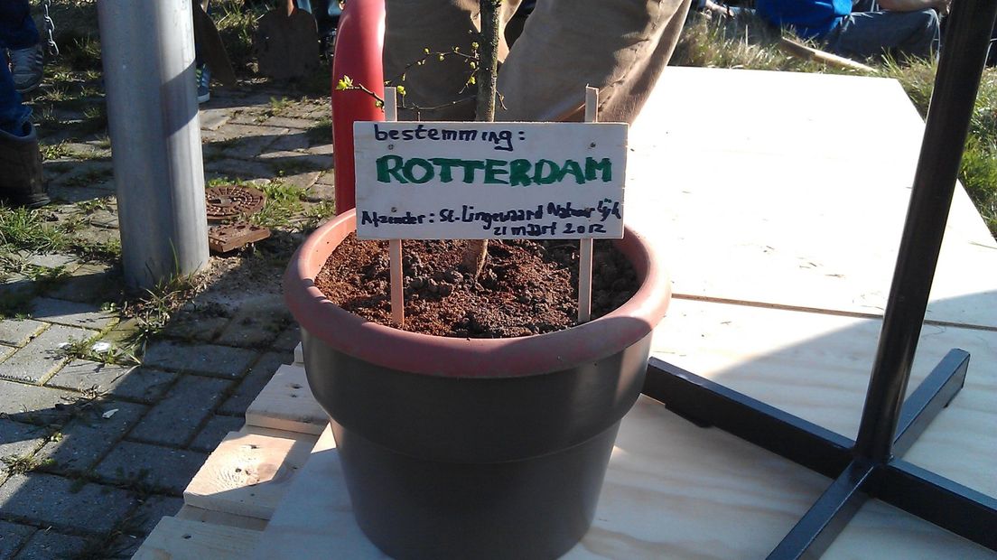 Op verschillende plekken in Gelderland plantten kinderen woensdag bomen en struiken.