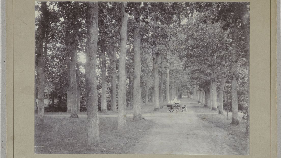 Landhuis Overcinge in Havelte met op de achtergrond een melkboer en een hondenkar (Rechten: Collectie Rijksmuseum)