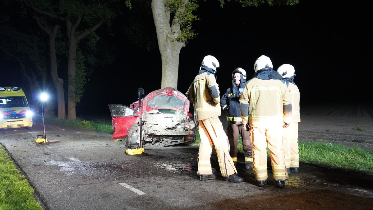 Automobilist ramt boom in Orvelte en raakt gewond