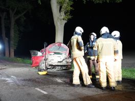 Automobilist ramt boom in Orvelte en raakt gewond