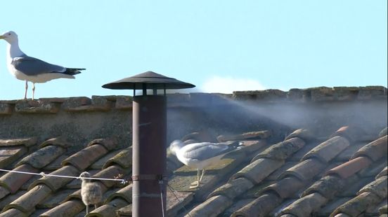 Katholieke gemeenschap in Drenthe blij met nieuwe paus