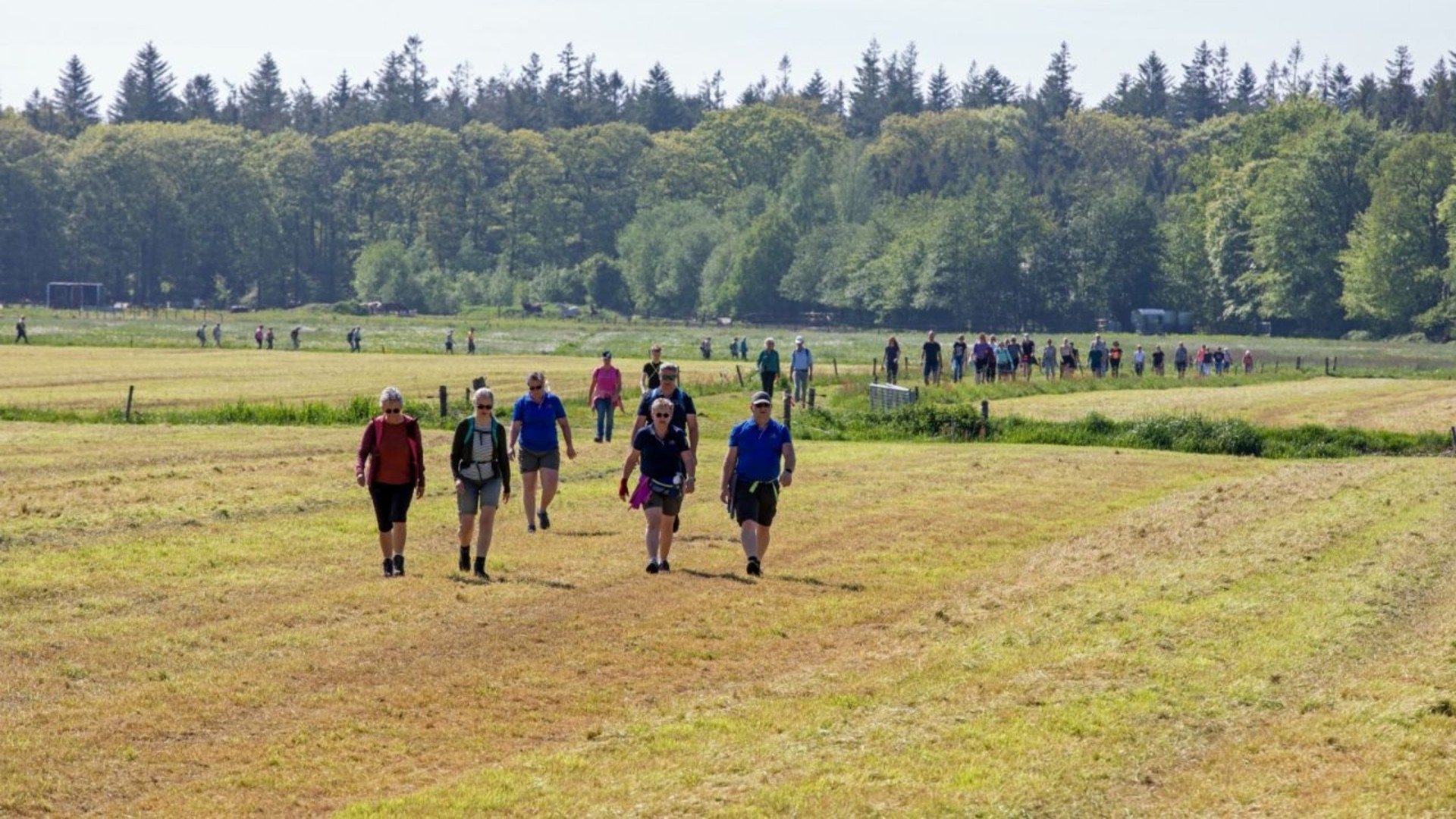 Kijk live: Drie Provinciën Wandeltocht