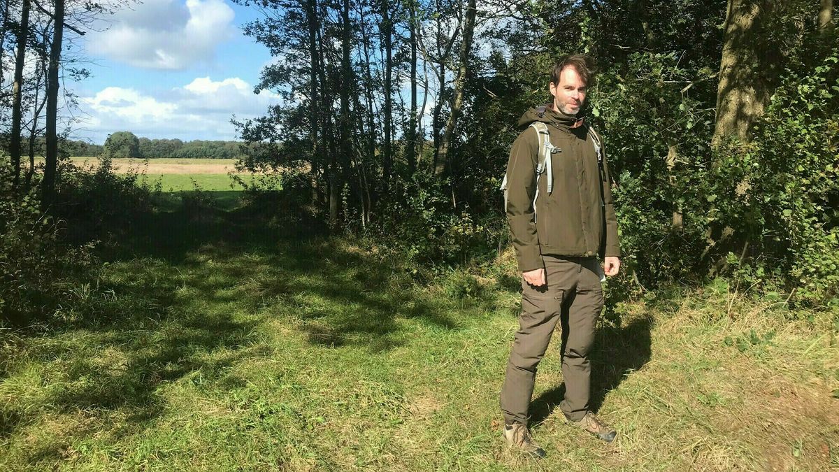 De houtwallen van de Vledder Aa: historische natuurschatten