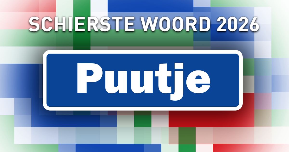 Het schierste Grunneger woord van 2026 is... Puutje!