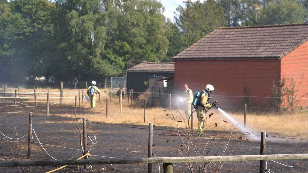 Grote brand op weiland langs Zuidlaarderweg in Annen