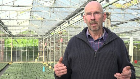 Geen bloemen uit Eelde naar de bloemenveiling in Eelde