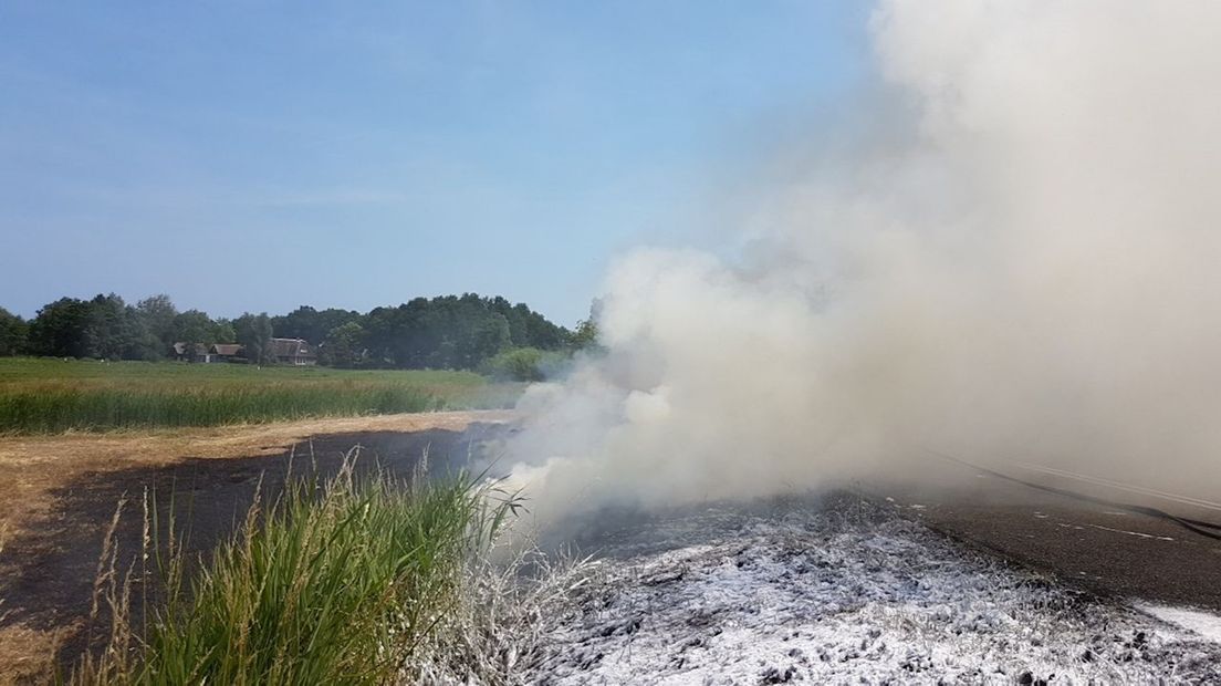 Rietbrand Wanneperveen