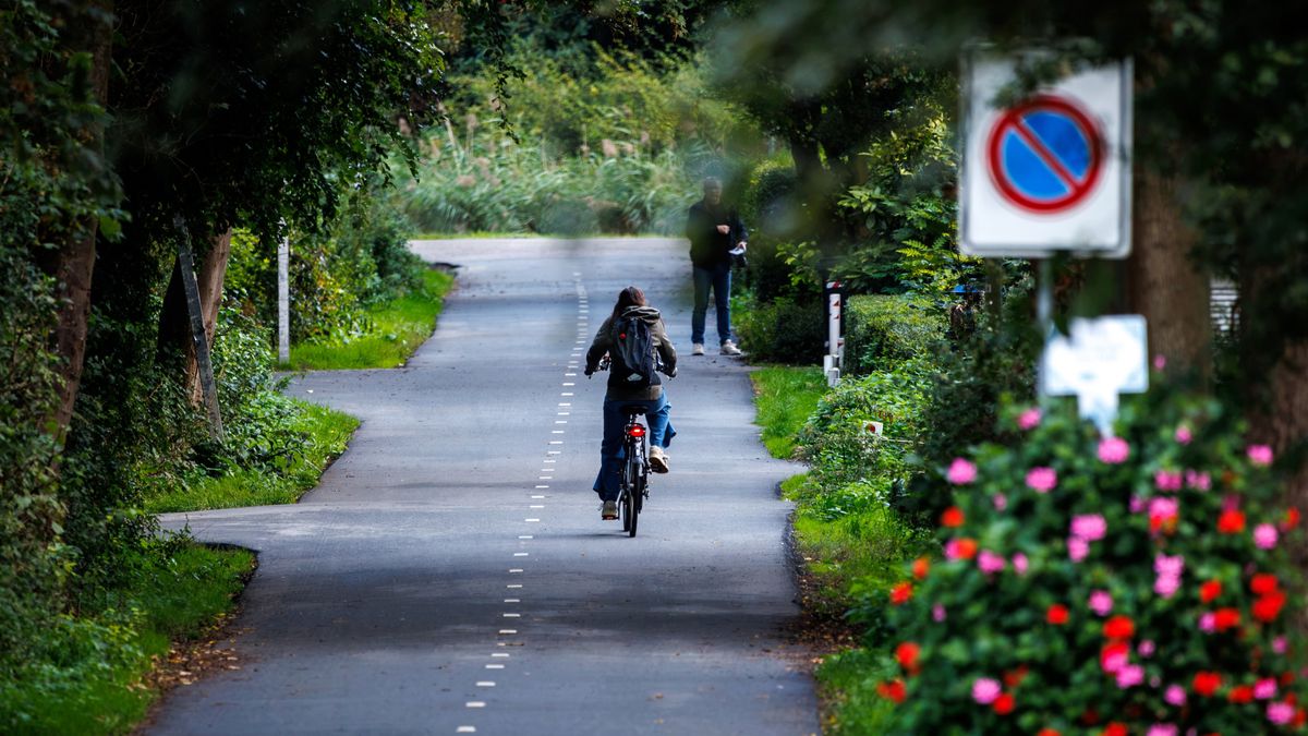 Na reeks van geweld tegen vrouwen zoekt gemeenteraad naar maatregelen: ‘Wat kan wel?’