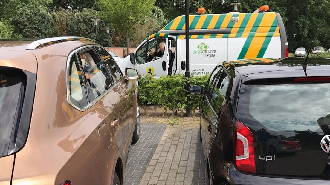 Dierenambulance arriveert op plek des onheils