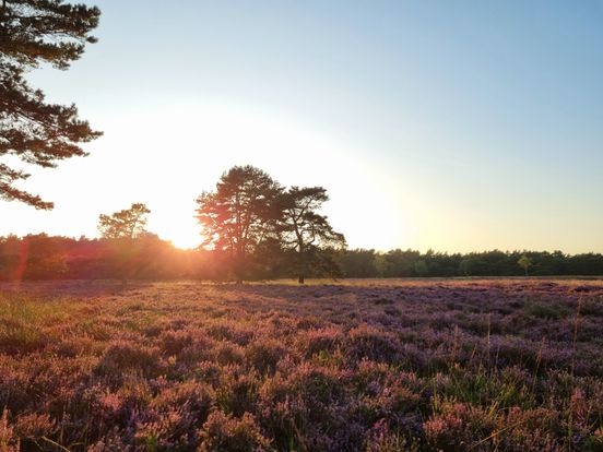 Dit wordt het weer: 'Voorlopig nog geen herfst'