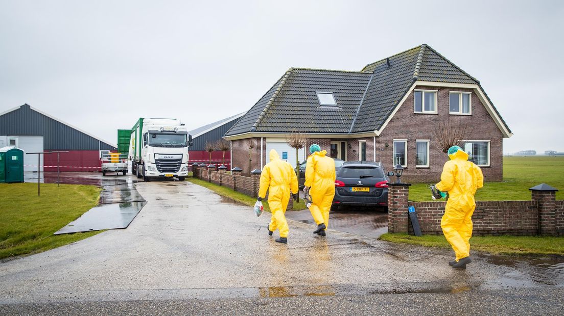 Mannen in gele pakken lopen naar het besmette bedrijf in Kamperveen