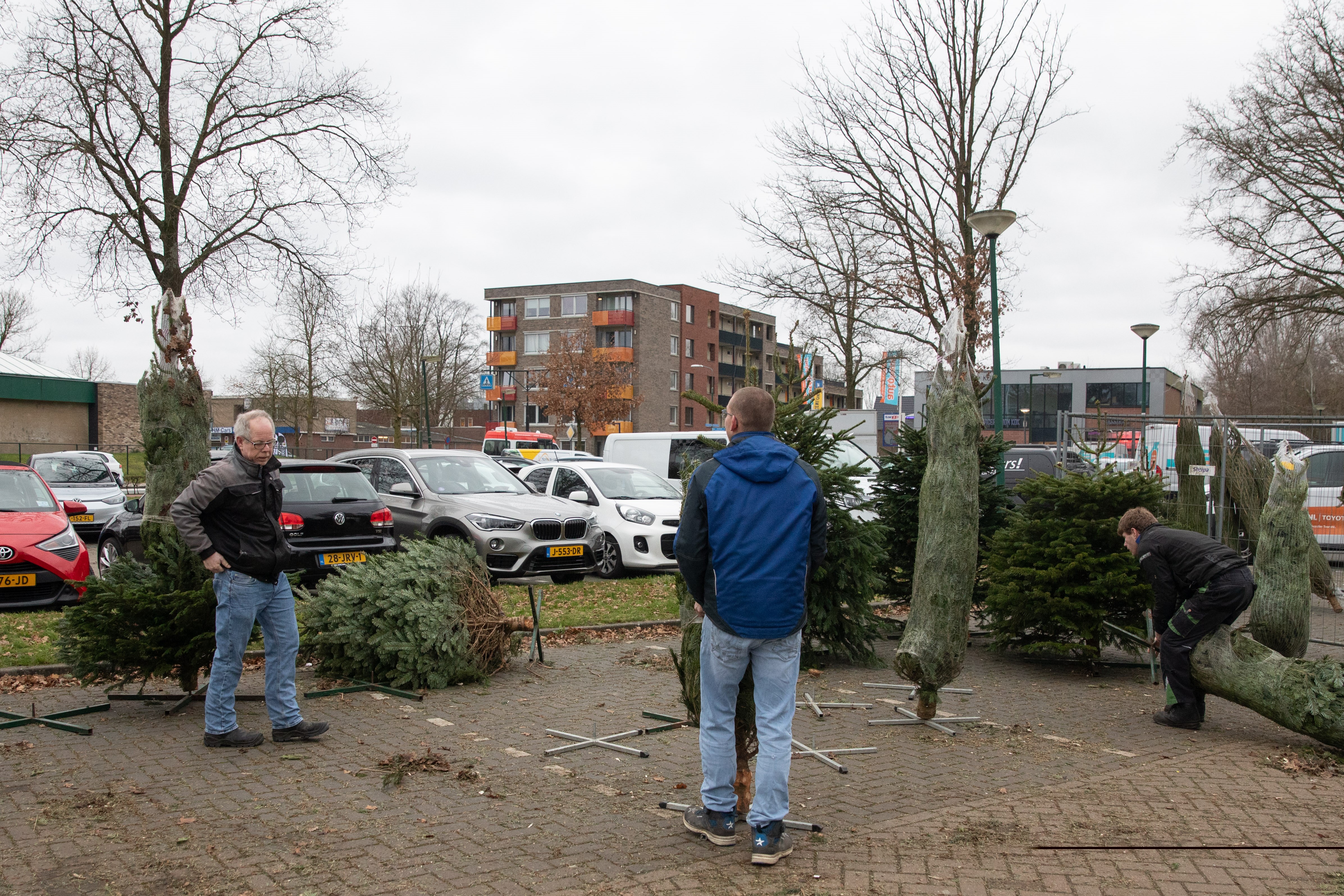 Dorp In Actie Voor Verdrietige Kerstbomenverkopers: 'Ik Heb Er Niet Van ...