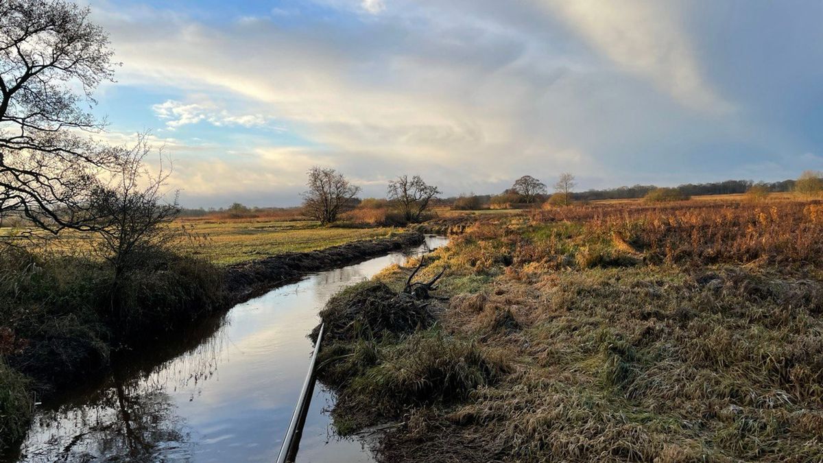 Waterschap wapent zich tegen droogte en verhoogt bodem Taarlosche Diep