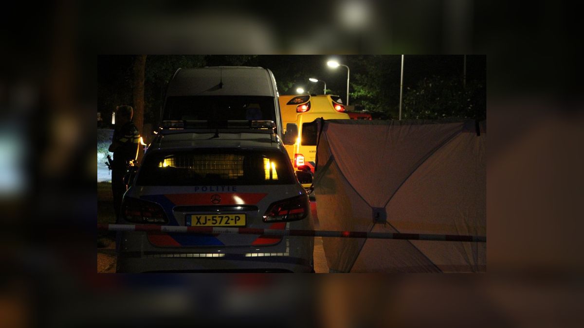 Fietsster (37) overleden na ernstig ongeluk met taxibus in Harkema