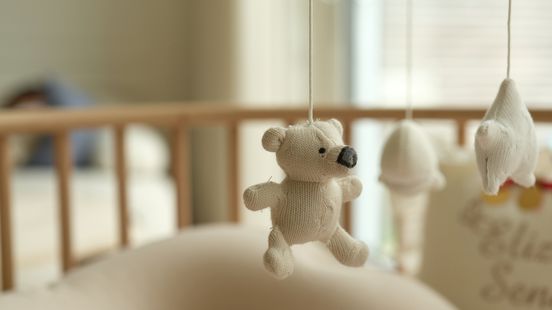 20-jarige vader uit Venlo blijft vastzitten, verdacht van doodslag op baby Nieuws