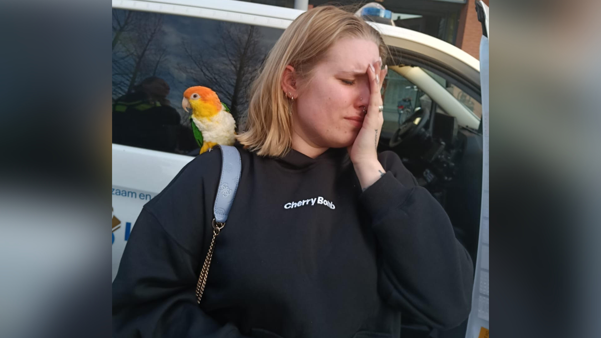 Pino is weer teruggevonden. Het was een emotioneel wederzien met de mensen van Rob's Dierenshop.