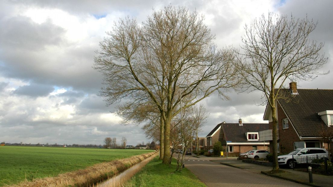 De zogenoemde Noordrand, een weiland boven Alphen