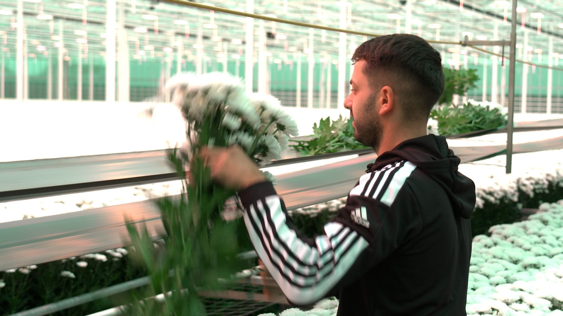 Werkgevers zijn duidelijk: 'Zonder arbeidsmigranten kunnen we stoppen'