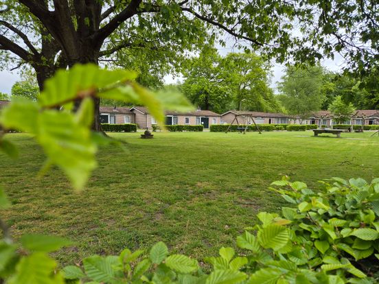 Verhuurder recreatiewoningen Ruinerweg: 'Een hectare is veel te klein voor levensvatbaar recreatieparkje'