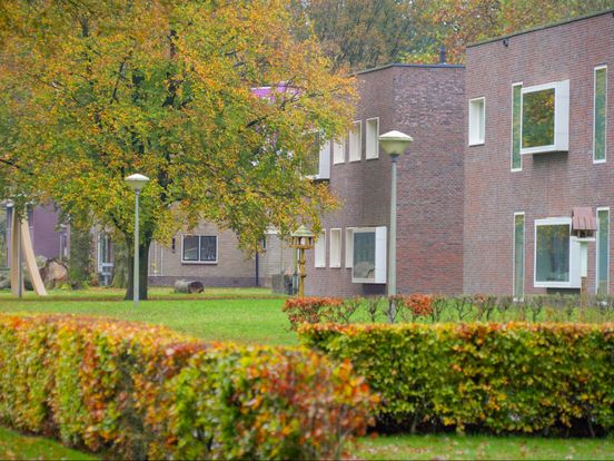 Celstraf en tbs voor man om kinderporno in kliniek Boschoord