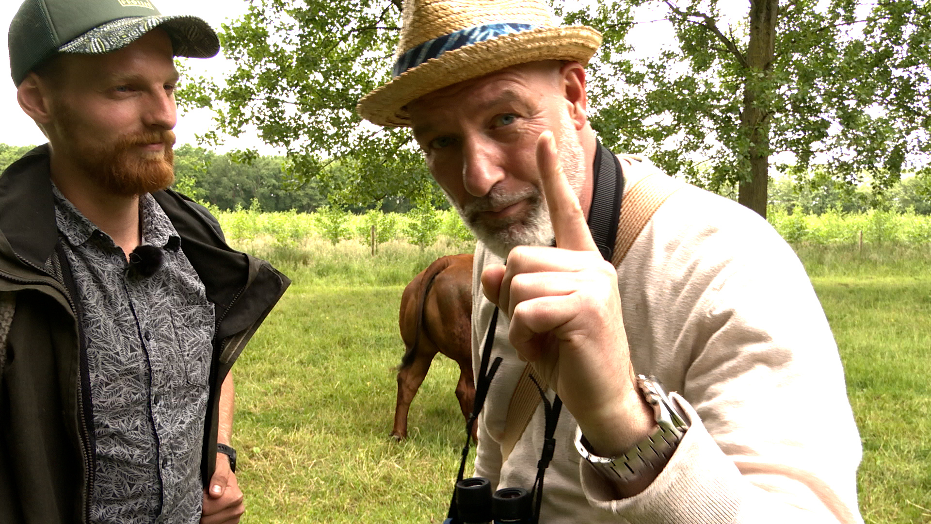 Eddy Zoëy zoekt nieuwe kever: 'vers dood hout liet 'm van Slovenië naar Doorn opschuiven'