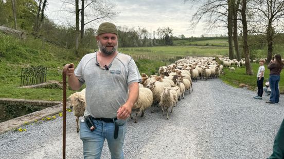 800 schapen luiden graasseizoen in met tweedaagse tocht naar Sint-Pietersberg Home