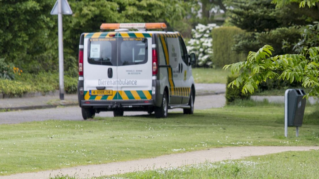 Dierenambulance heeft tekort aan vrijwilligers