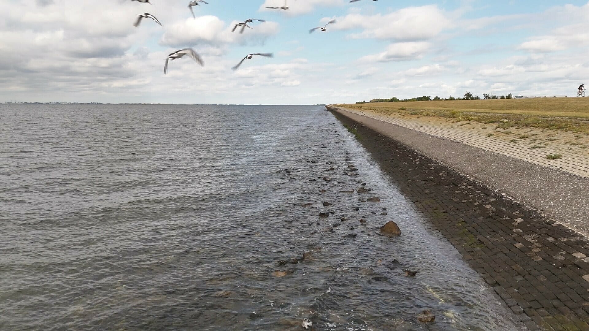 Staatssecretaris geeft duidelijkheid: gebruik staalslakken is aan gemeenten zelf