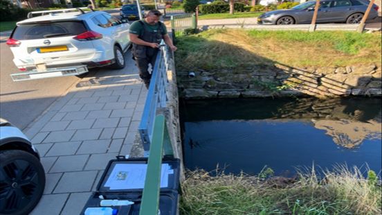 Geleenbeek vol met dode vissen: oorzaak nog onbekend Nieuws