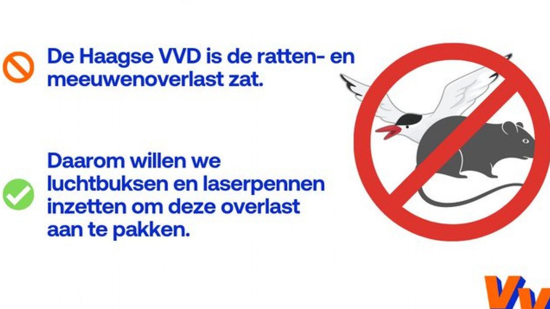Aanpak meeuwen- en rattenoverlast