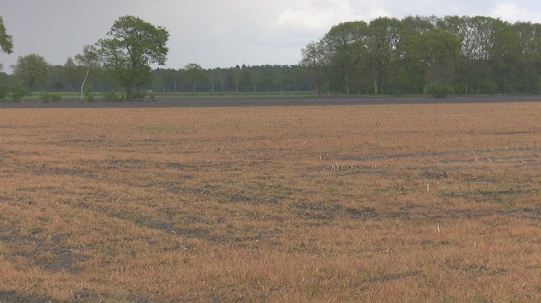 Met glyfosaat behandelde akker