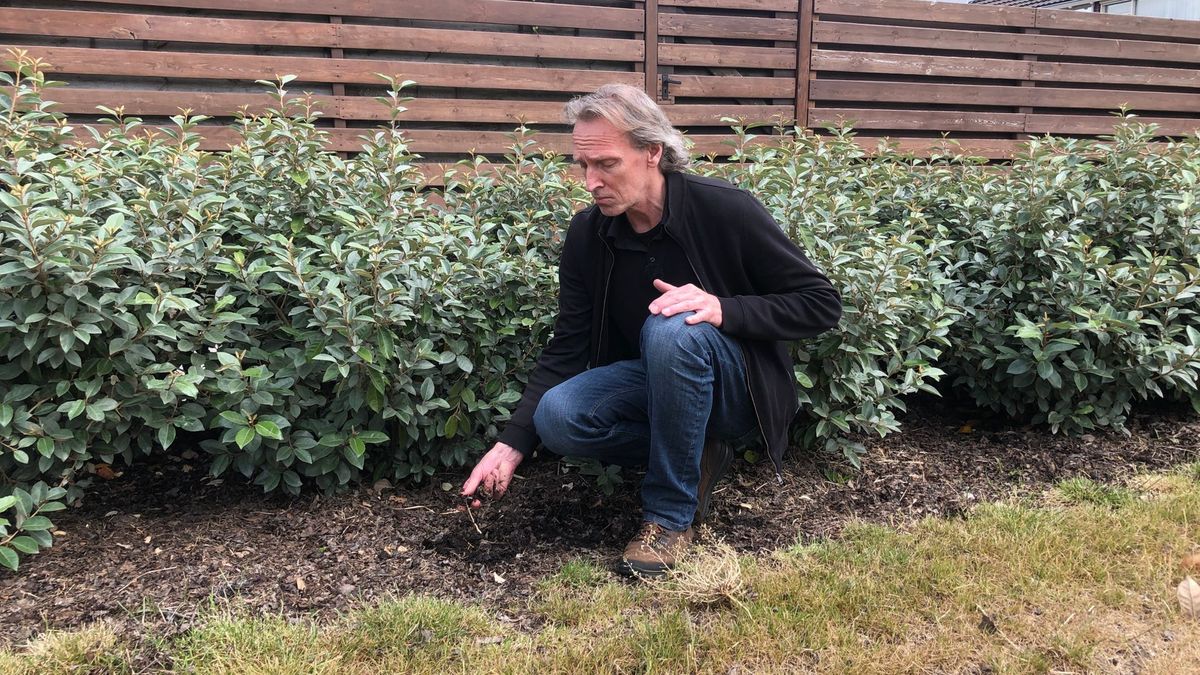 Bokashi draagt in Meppel bij aan een minder droge bodem