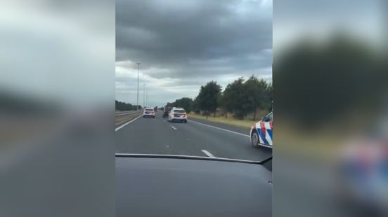 Politieteams uit Limburg en Brabant zetten achtervolging in na gevaarlijk gedrag bestuurder Nieuws