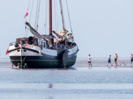 230 skippen moatte opnij keurd wurde: kin de brune float útfarre op 1 april?