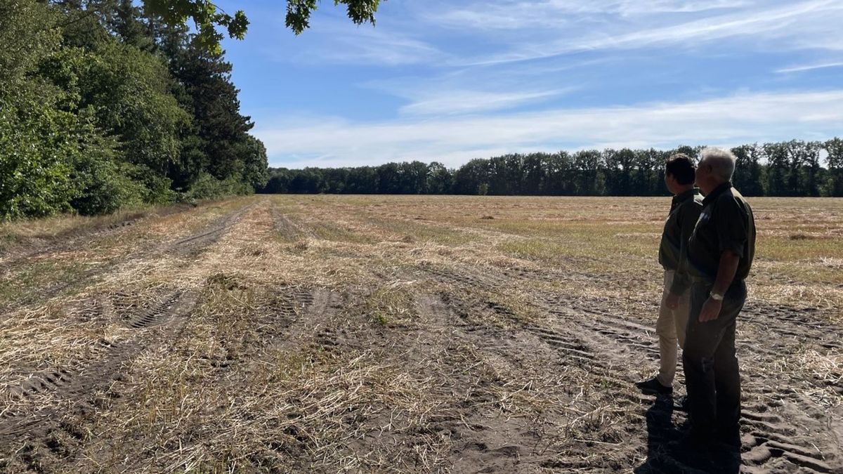 Onvrede in Nieuw-Balinge over komst natuurbegraafplaats