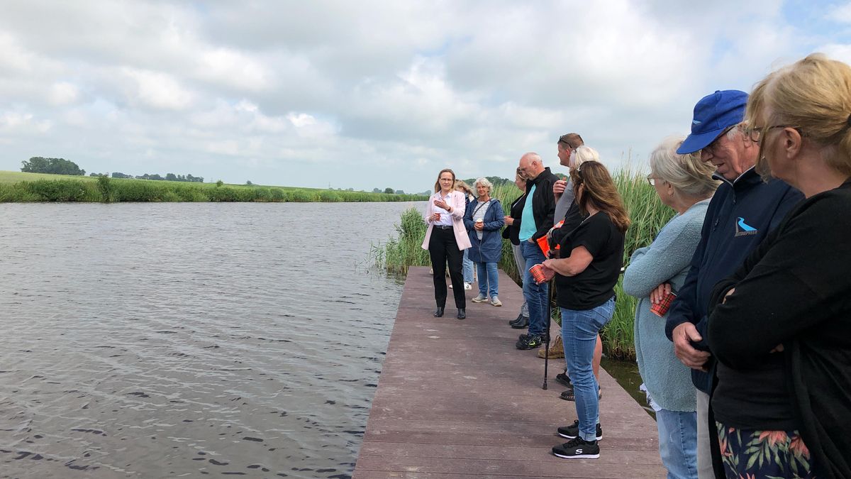 Wethouder verricht muzikale heropening van steiger bij Feerwerd: 'Hij werd snel gemist'