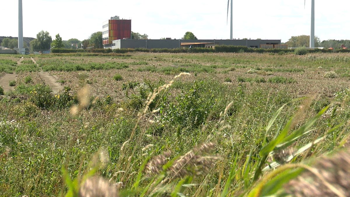 BBB wil tijdelijk parkeerterrein bij skihal Terneuzen omvormen tot truckparking