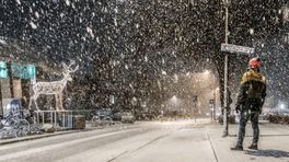 Zo zag Gelderland er uit na de eerste sneeuw