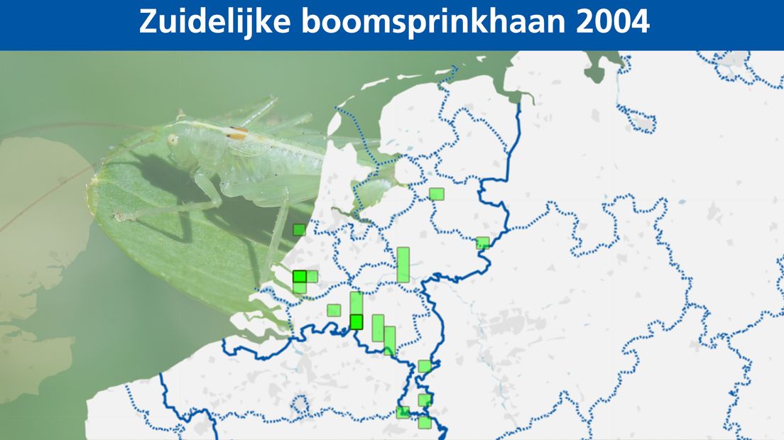 Waarnemingen van de bidsprinkhaan in heel 2004