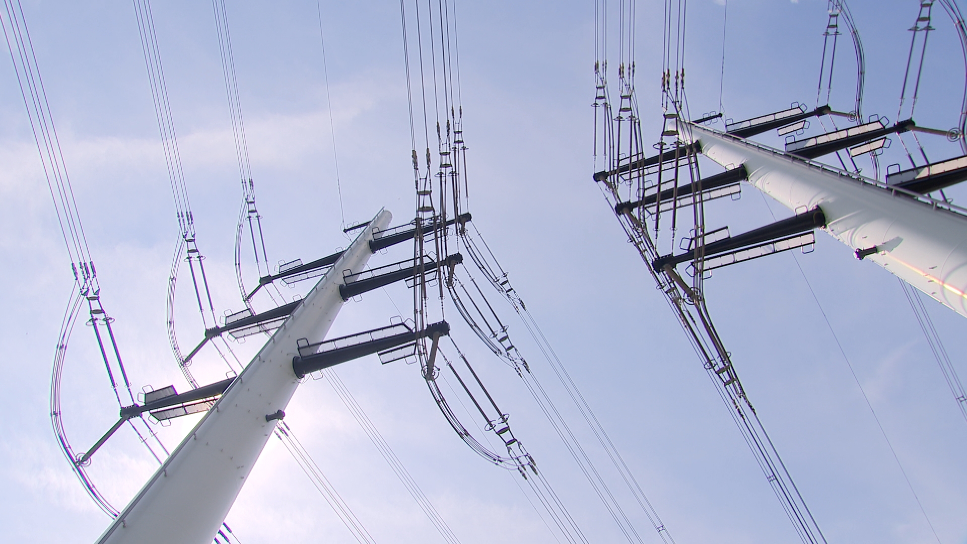 Overwinning TenneT bij Raad van State: deel bezwaren van tafel