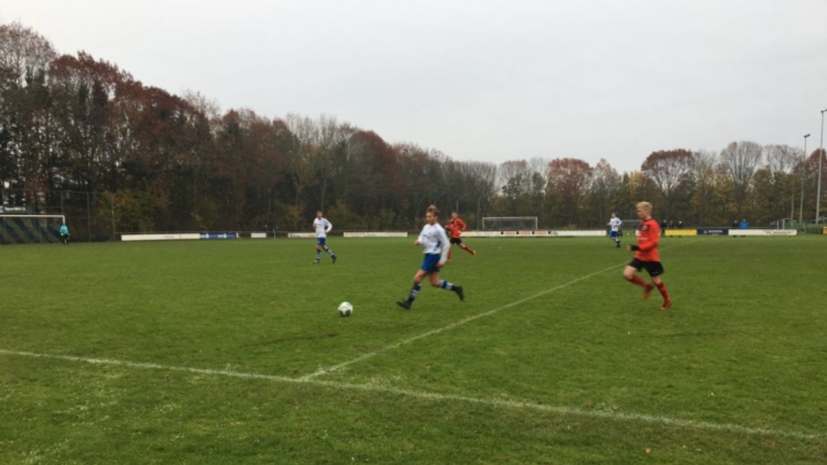 EHS'85 haalt hard uit tegen VIOS