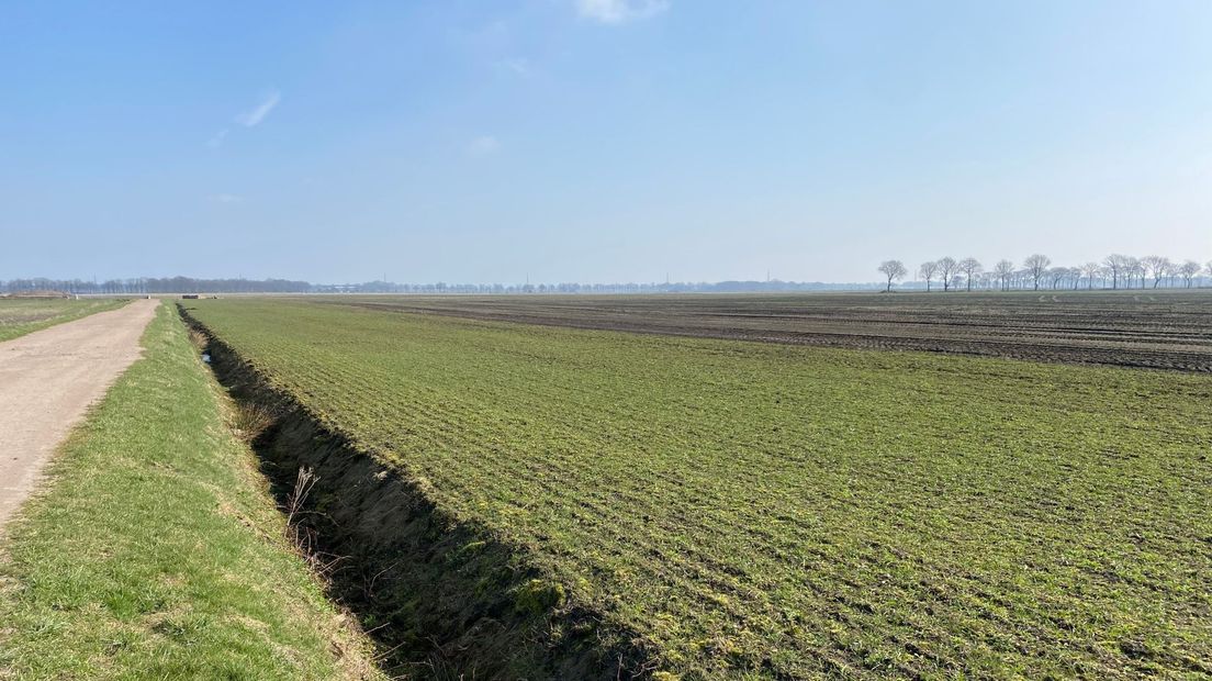 In de verte moet een deel van het zonnepark in Zuidvelde komen