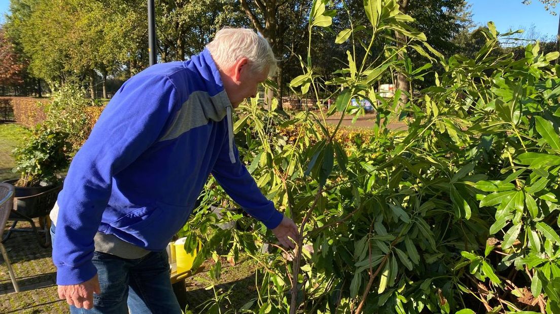 Bomen en struiken uitzoeken Groene Karavaan