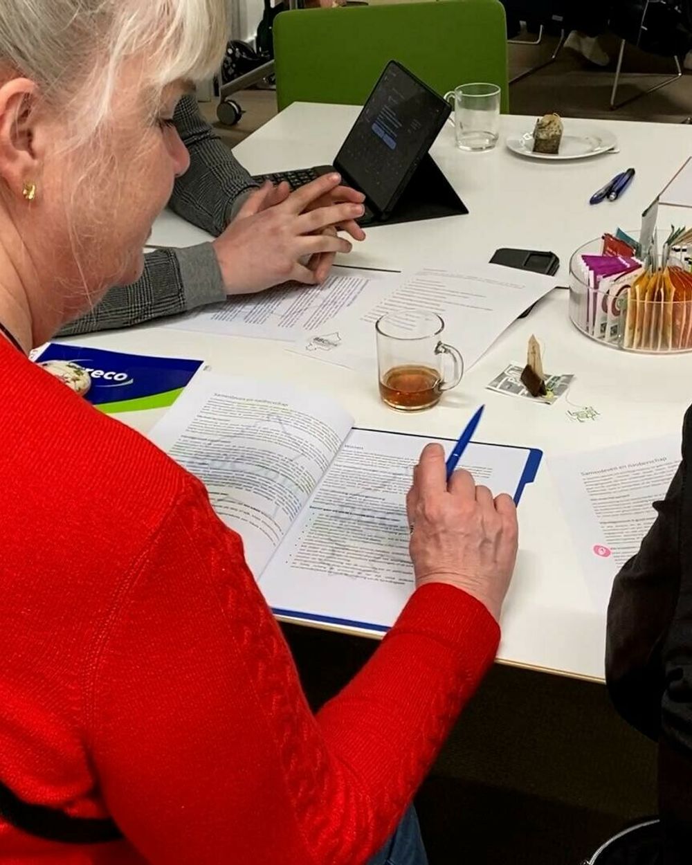 Coevorden Experimenteert Met Eenvoudige Taal Voor Verkiezingen RTV coevorden-experimenteert-met-eenvoudige-taal-voor-verkiezingen-rtv